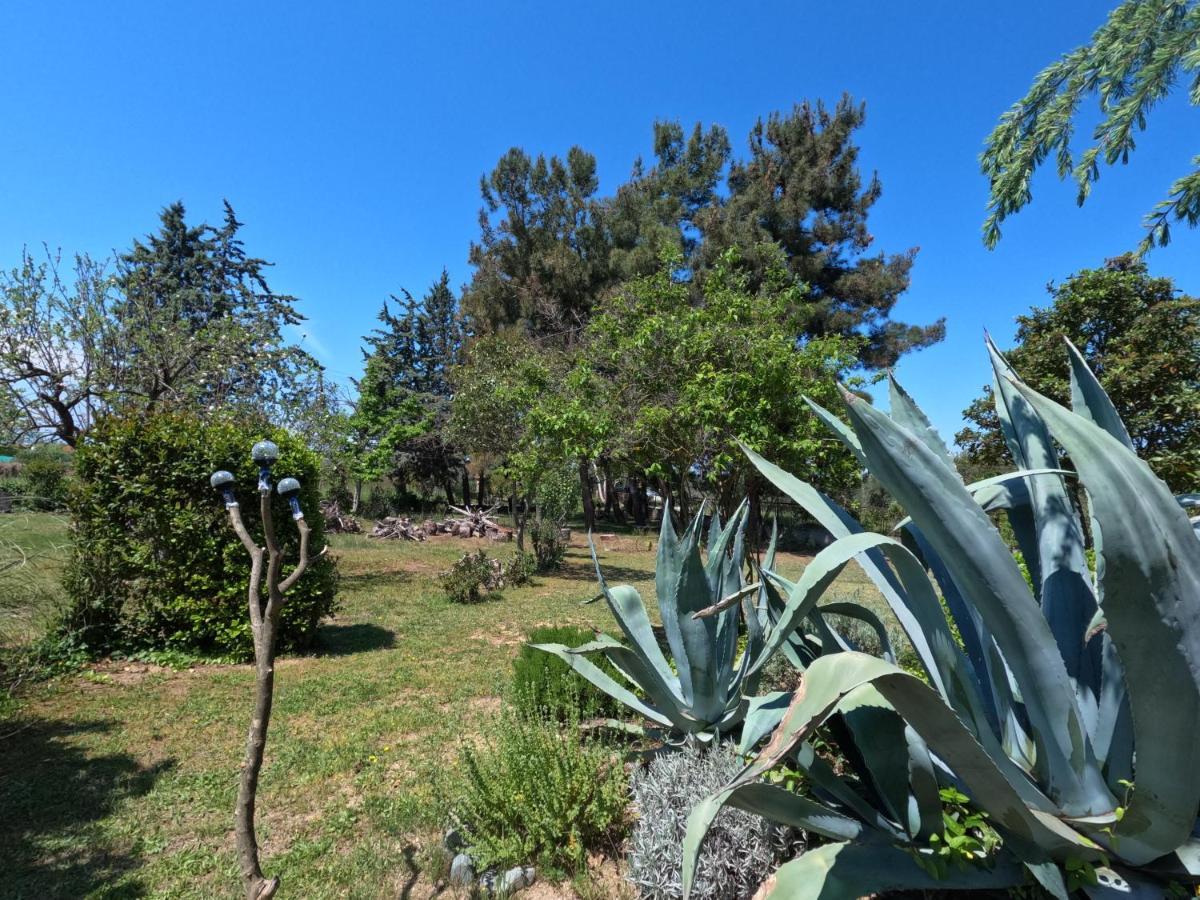 Pond And Pines, By Nice House By The Sea! Epanomi Exterior photo