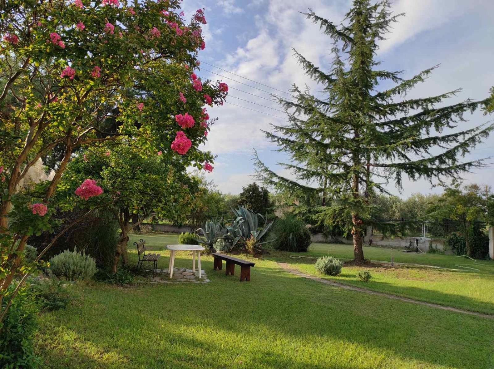 Pond And Pines, By Nice House By The Sea! Epanomi Exterior photo